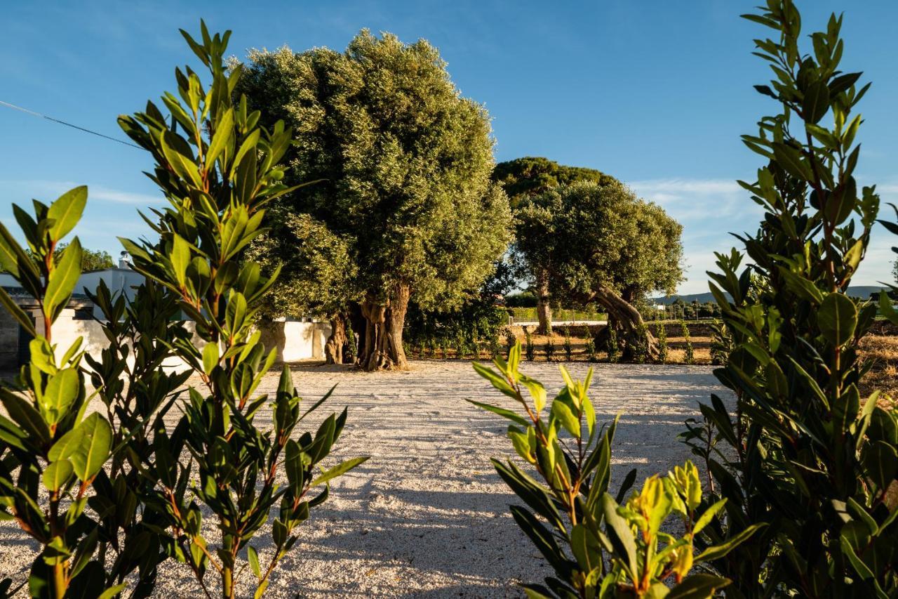 Il Pergolato Sul Mare Villa Monopoli Exterior photo